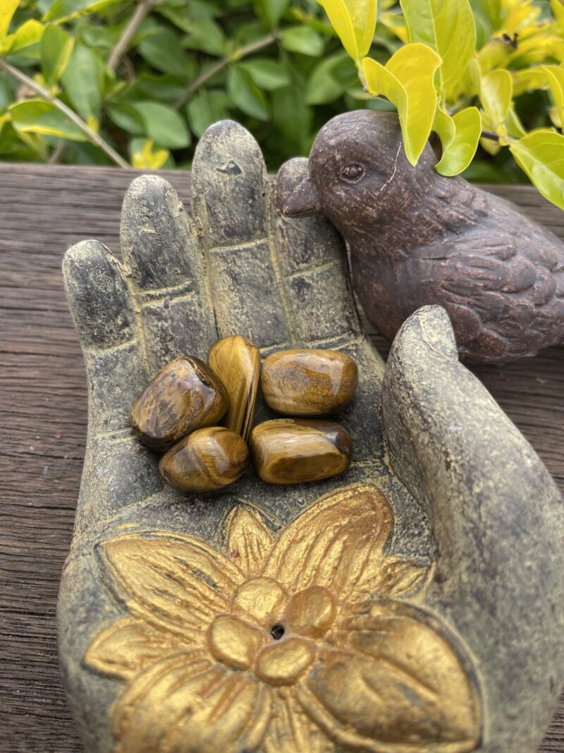 This is Empowerment and Protection: 5-Pack Small Tiger Eye Tumblers for Confidence and Grounding