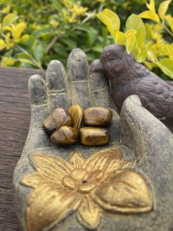 This is Empowerment and Protection: 5-Pack Small Tiger Eye Tumblers for Confidence and Grounding