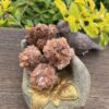 This is Grounding and Transformation:XL Large Aragonite Sputnik Specimens for Emotional Healing and Stability