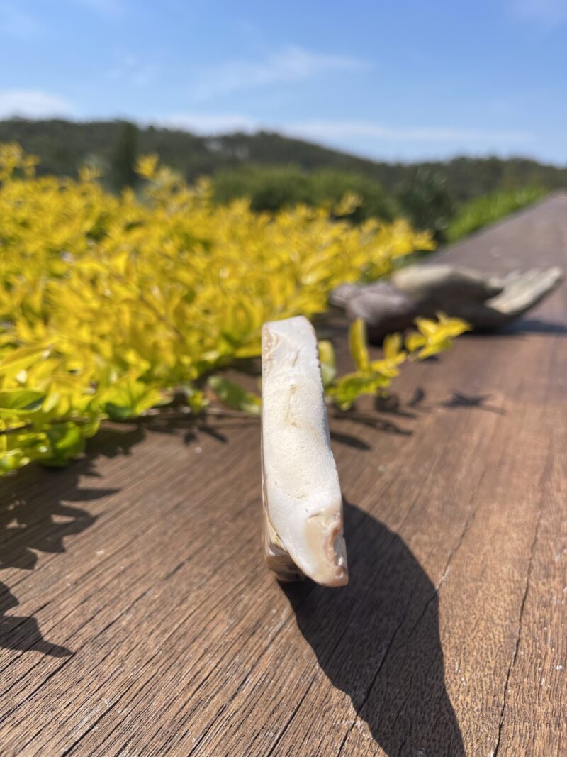 This is Courage-Boosting Mookaite Slice with Earthly Wisdom