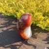 This isRadiant Carnelian Freeform for Vitality