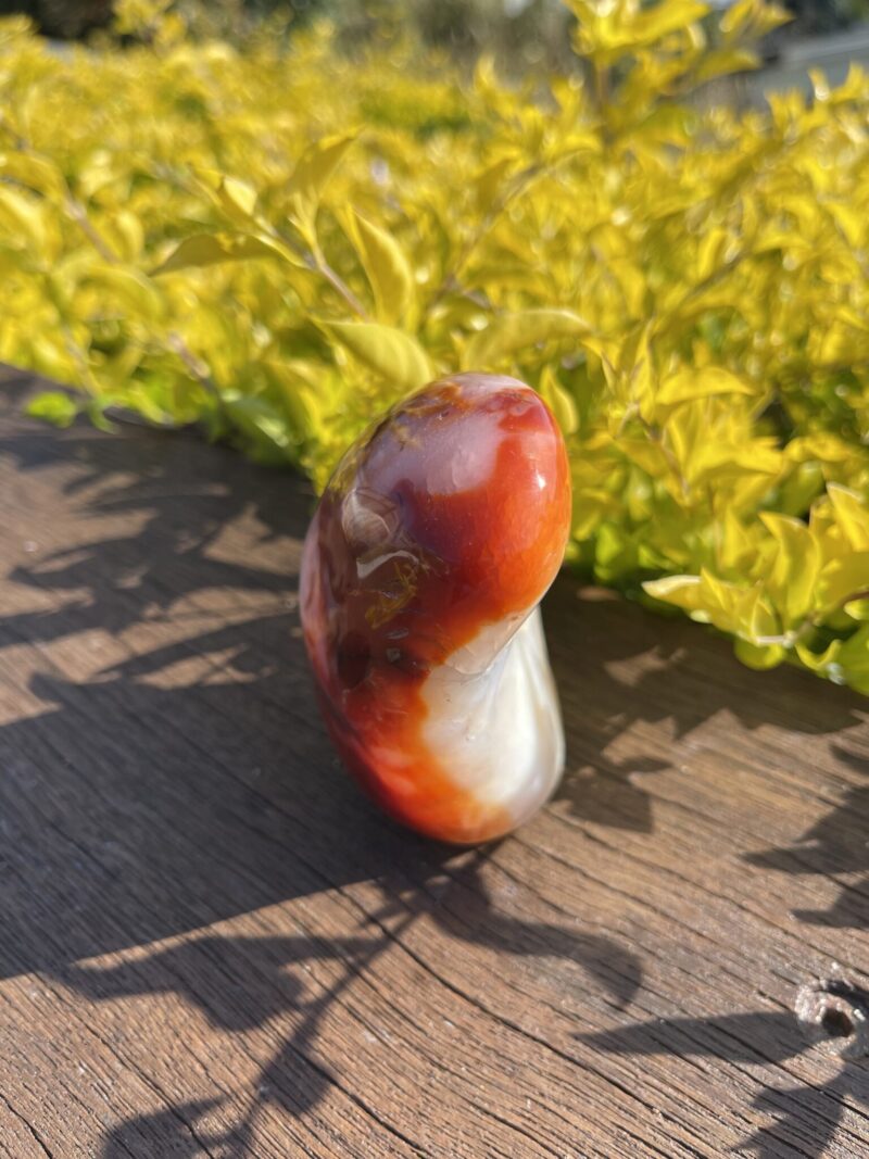 This isRadiant Carnelian Freeform for Vitality