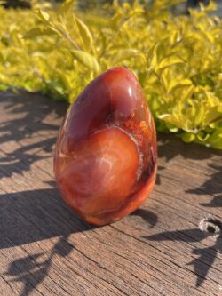 This is Vibrant Carnelian Freeform for Courage