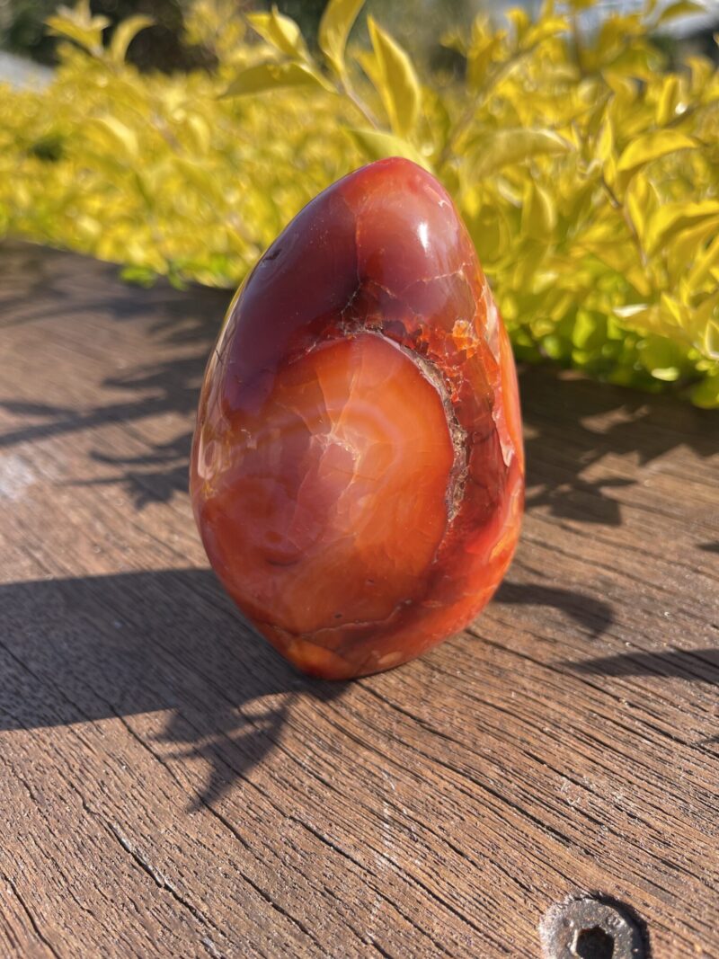 This is Vibrant Carnelian Freeform for Courage