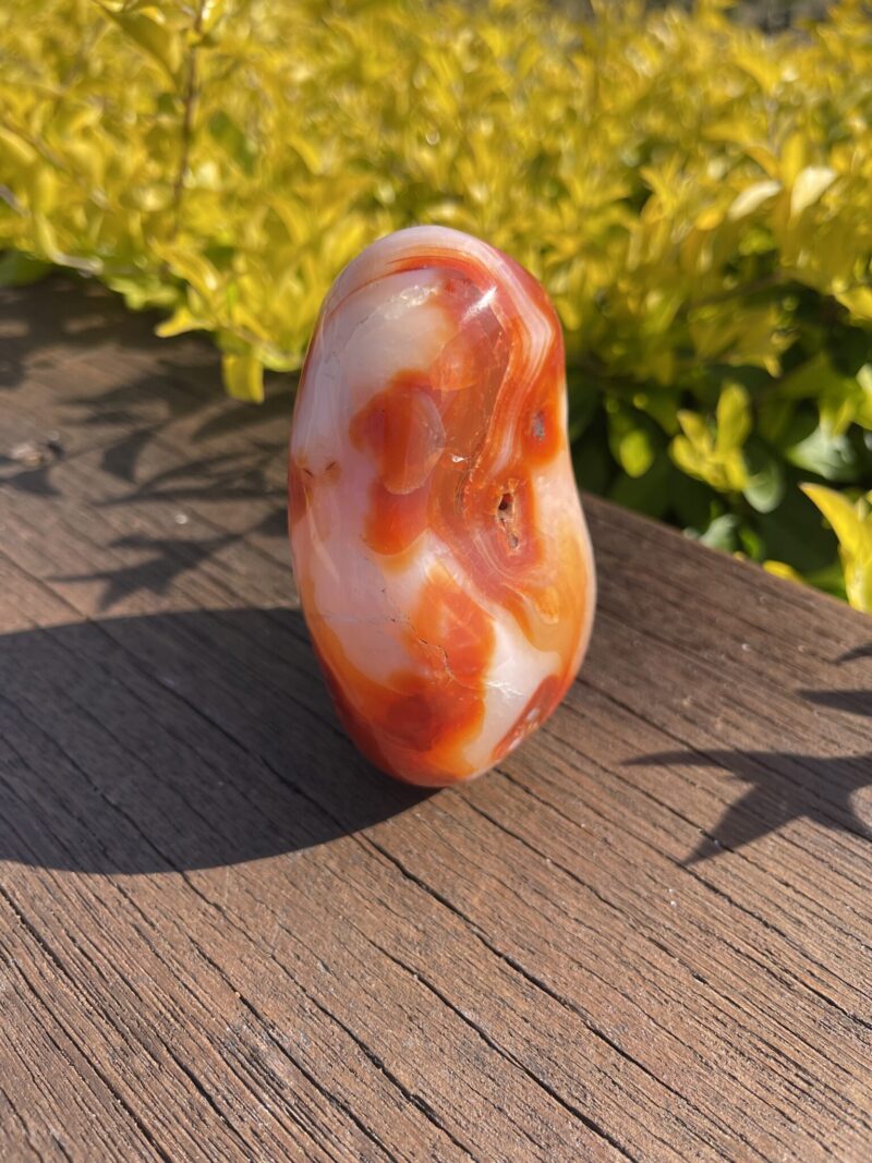 this is Fiery Carnelian Freeform with Empowering Energy