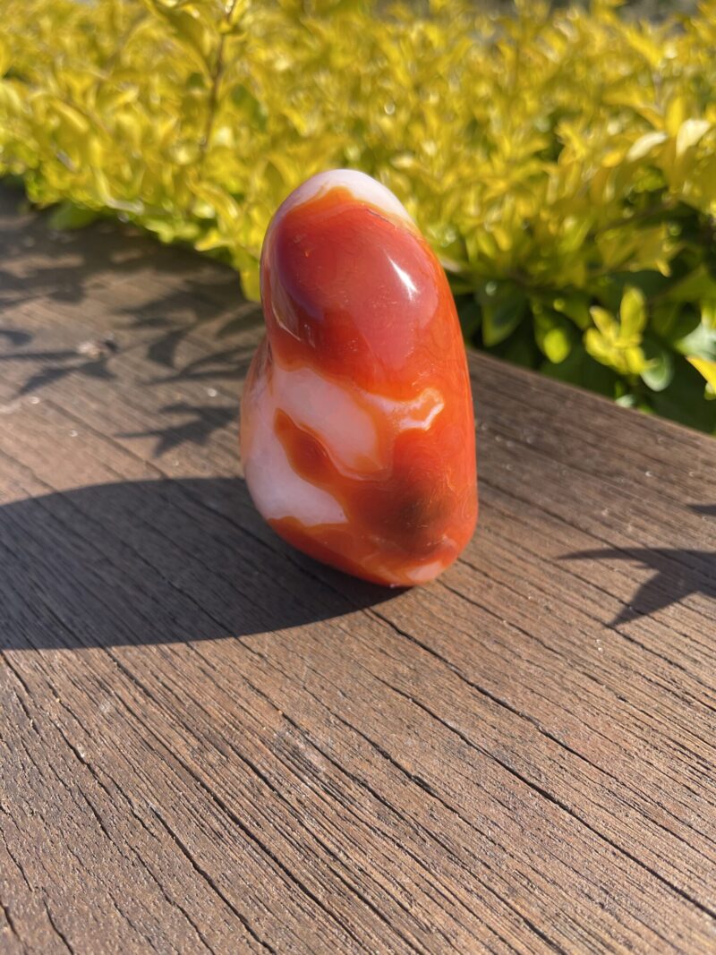 this is Fiery Carnelian Freeform with Empowering Energy