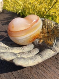 This Carnelian Heart invites you to embrace its ancient wisdom and powerful energy, helping you grow with strength and creativity.