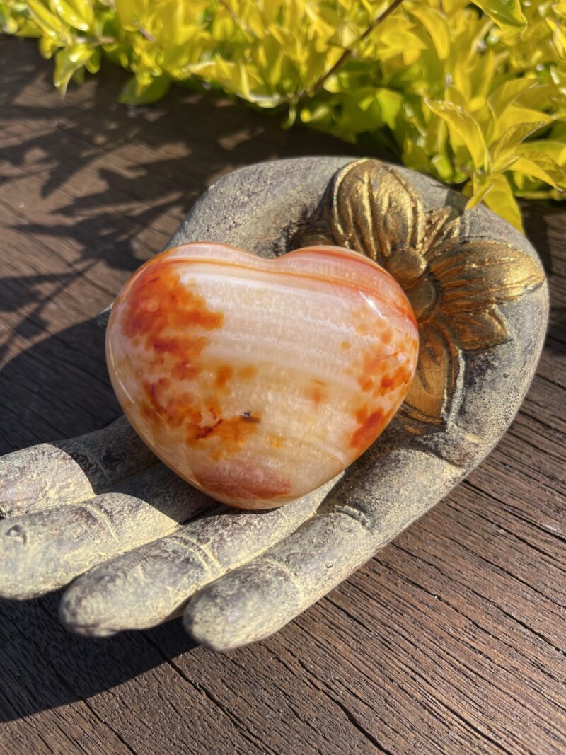 This Carnelian Heart invites you to embrace its ancient wisdom and powerful energy, helping you grow with strength and creativity.