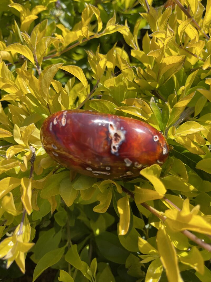 this is Radiant Carnelian Heart with Ancient Energy