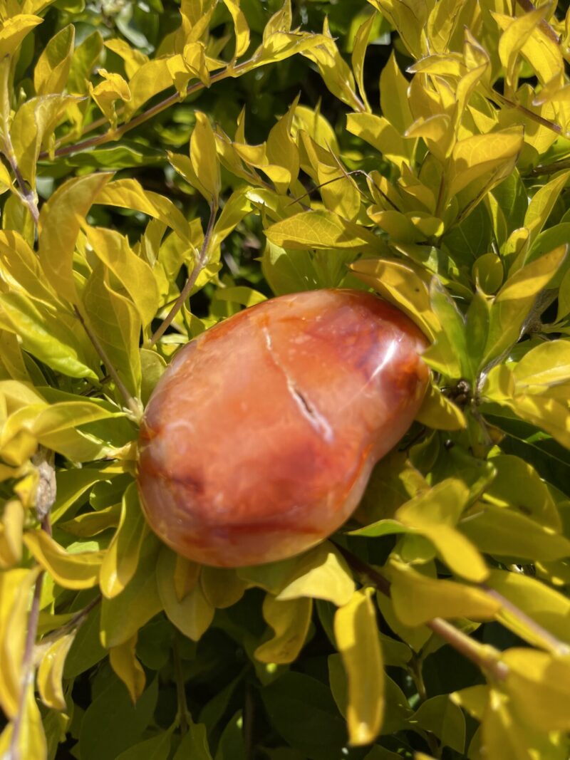 This is Bold Carnelian Heart for Leadership and Power