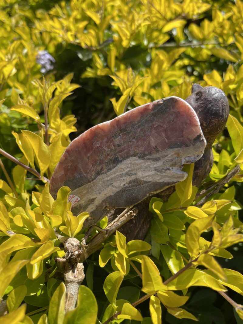 This is Australian Orange Calcite Slice for Creativity and Emotional Healing