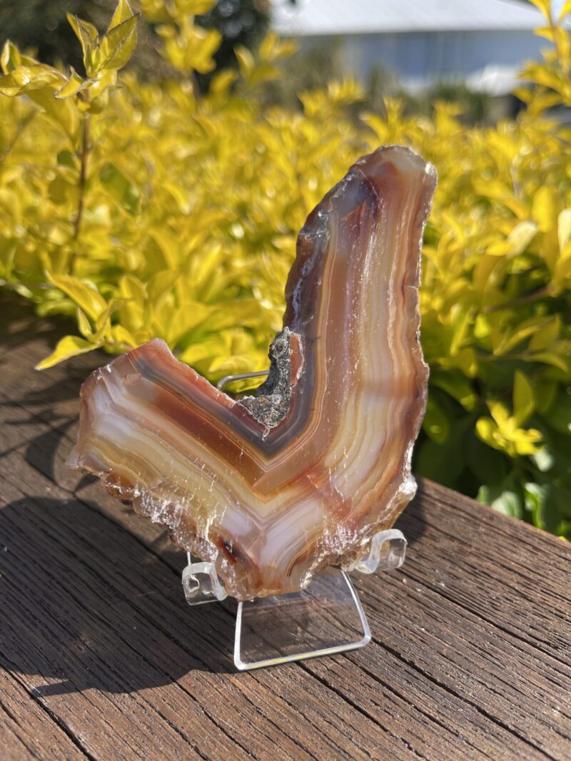 This is L-Shaped Carnelian Slice for Courage and Creativity