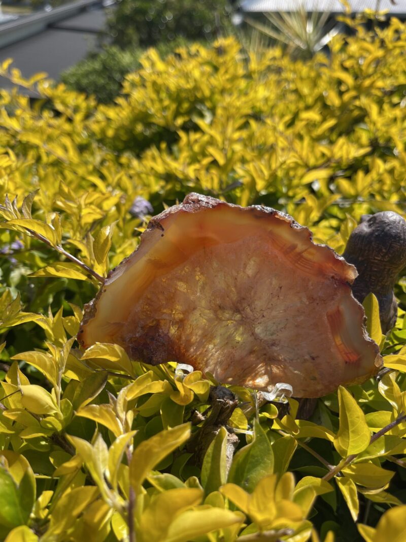 This is Magical and Clear Carnelian Plate for Vitality and Clarity