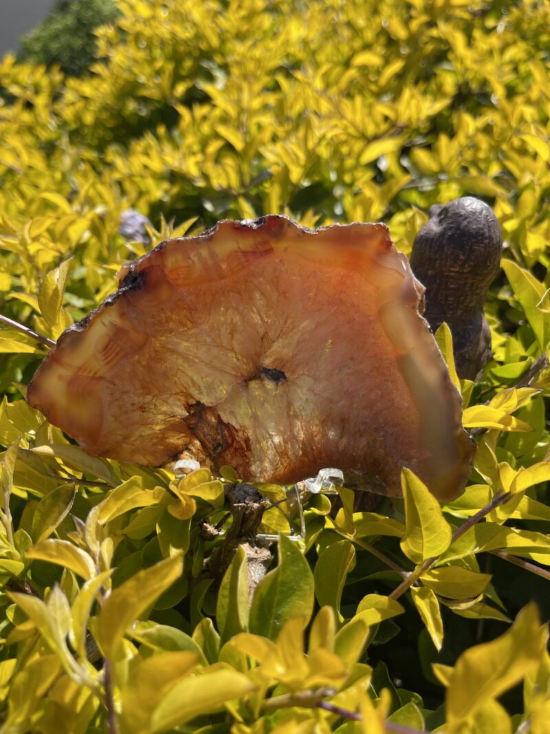 This is Magical and Clear Carnelian Plate for Vitality and Clarity