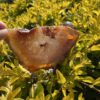 This is Magical and Clear Carnelian Plate for Vitality and Clarity