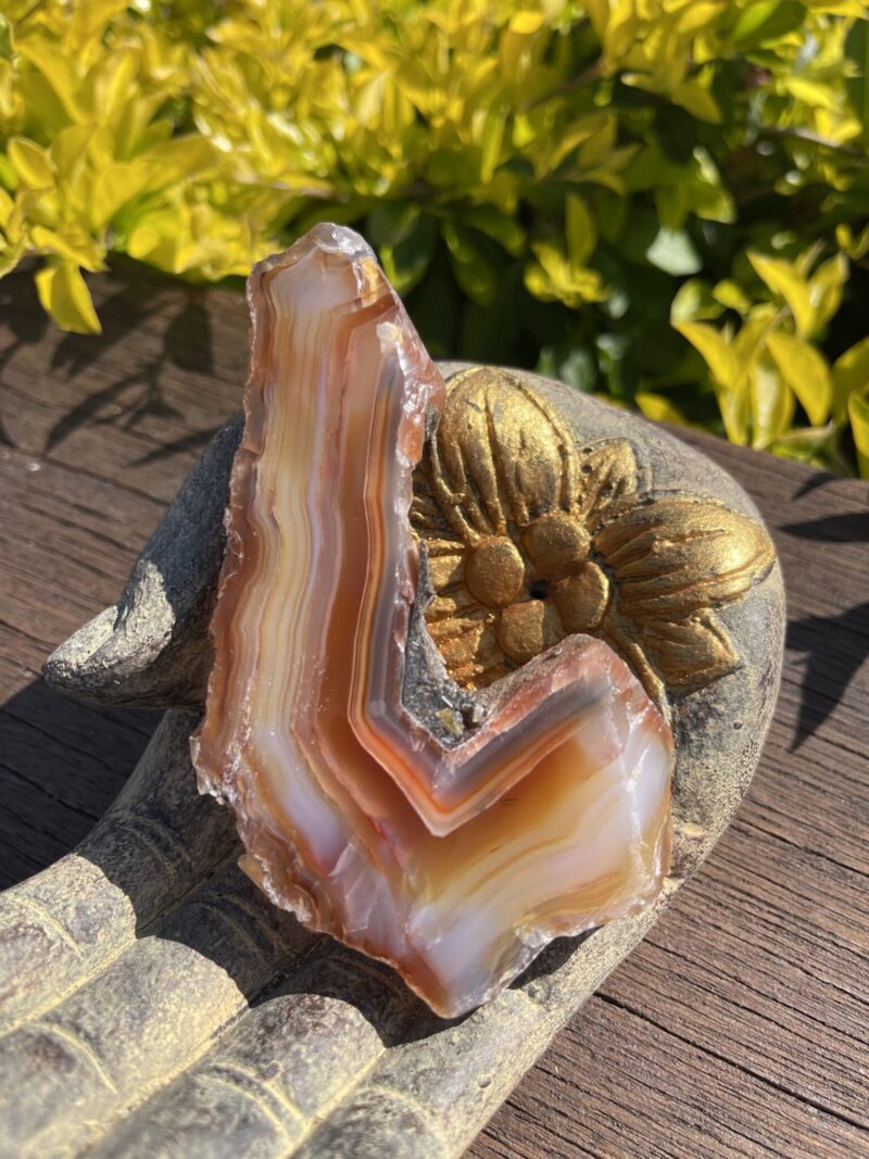 This is L-Shaped Carnelian Slice for Grounding and Motivation