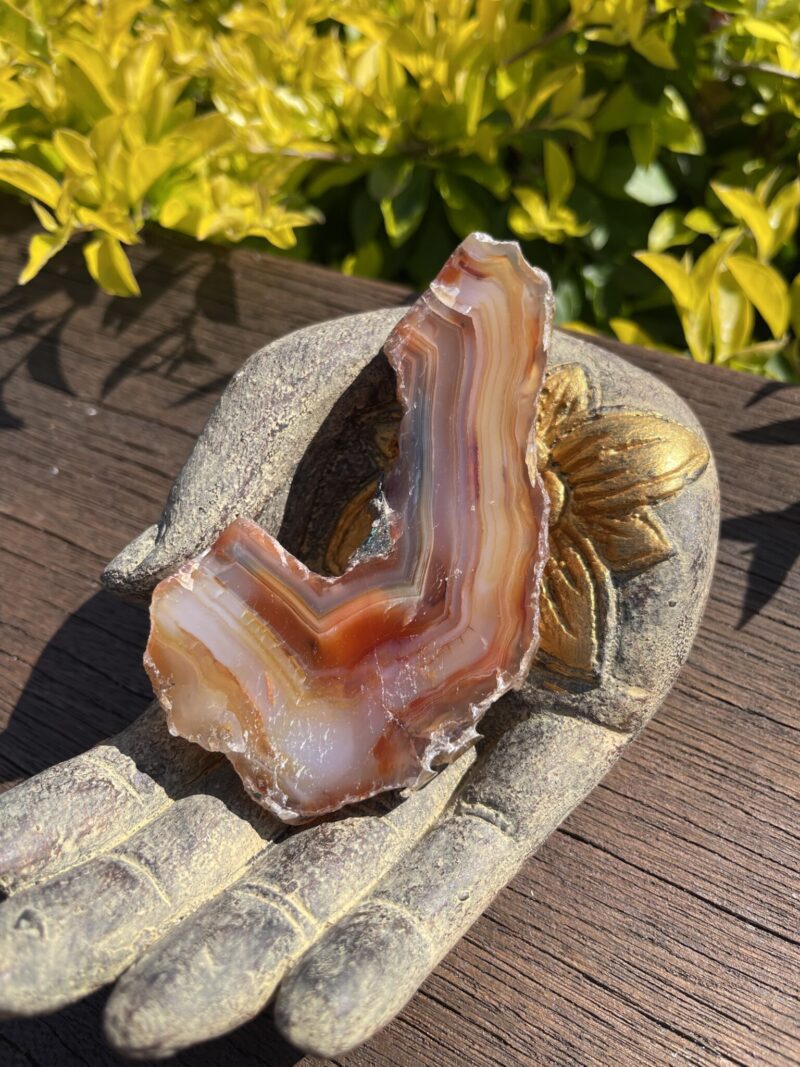 This is L-Shaped Carnelian Slice for Grounding and Motivation