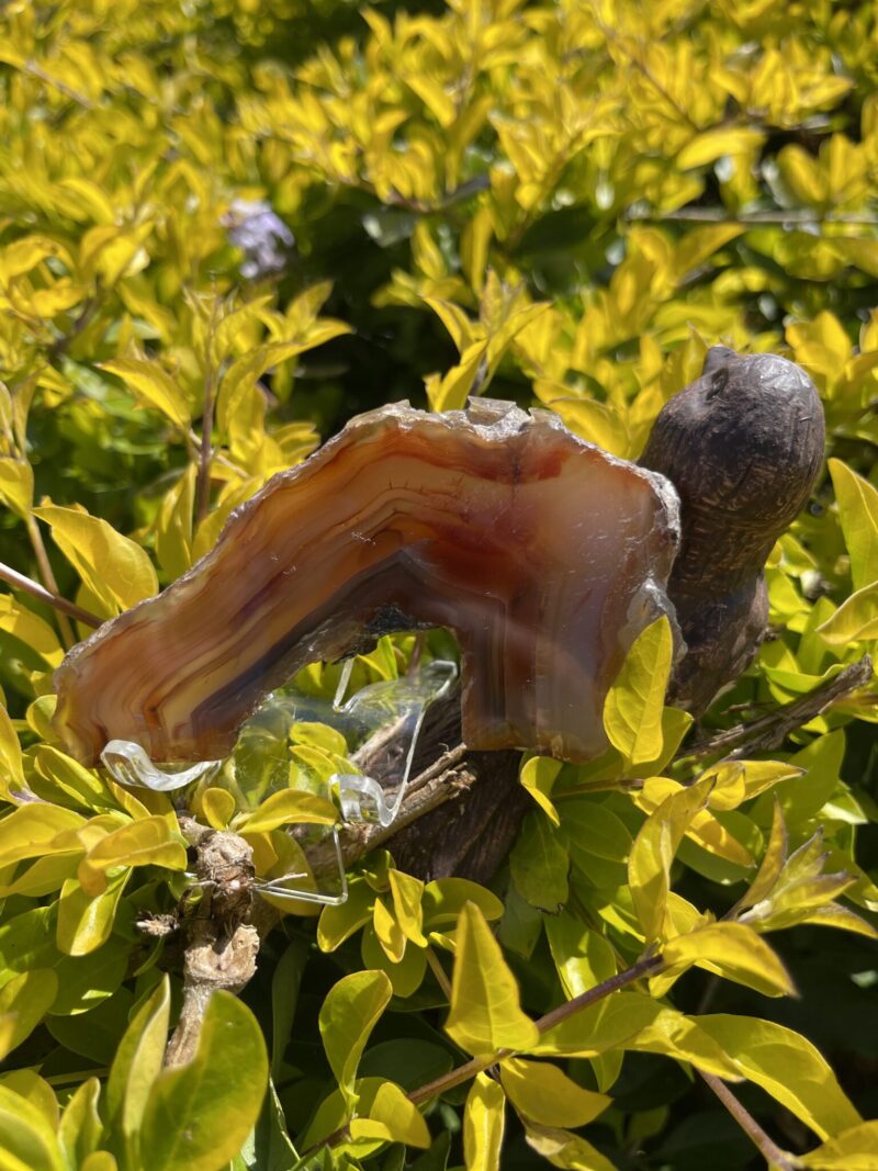 This is L-Shaped Carnelian Slice for Grounding and Motivation