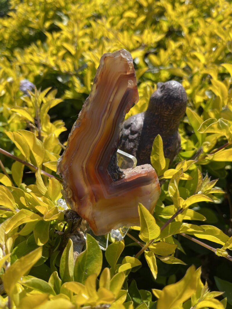 This is L-Shaped Carnelian Slice for Grounding and Motivation