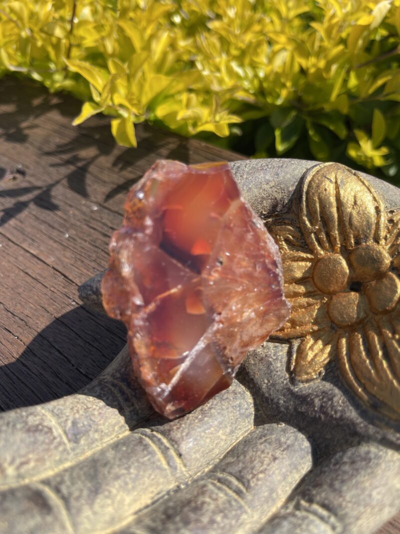 This is Fan of Wonders Carnelian Plate for Joy