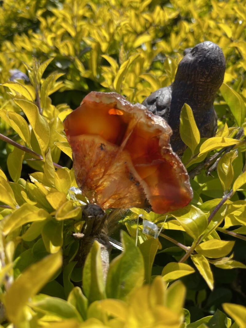 This is Fan of Wonders Carnelian Plate for Joy