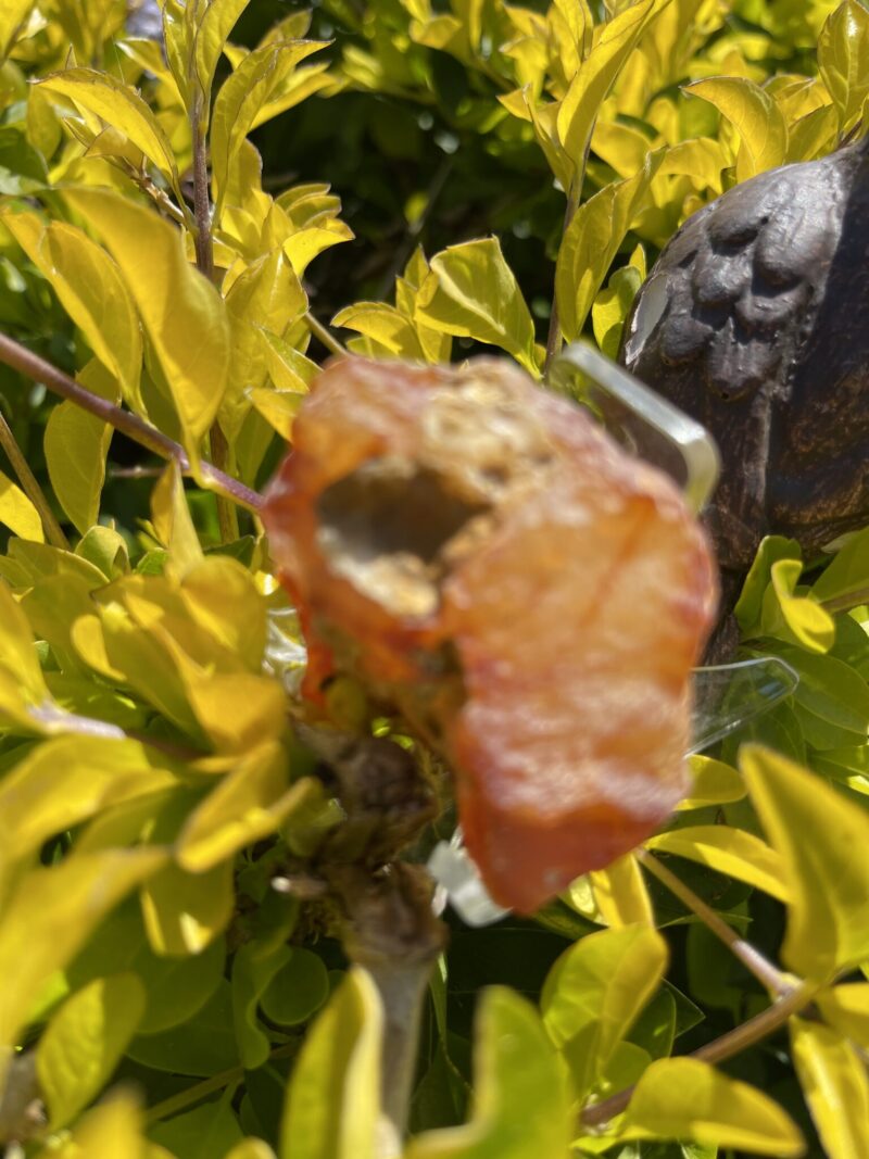 This is Raw Carnelian for Grounding and Creative Energy