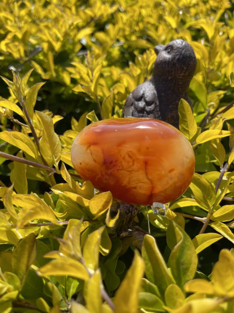 this is Radiant Carnelian Palm Stone for Joy