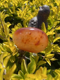 this is Radiant Carnelian Palm Stone for Joy