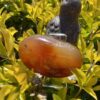 This is Grounding Carnelian Palm Stone