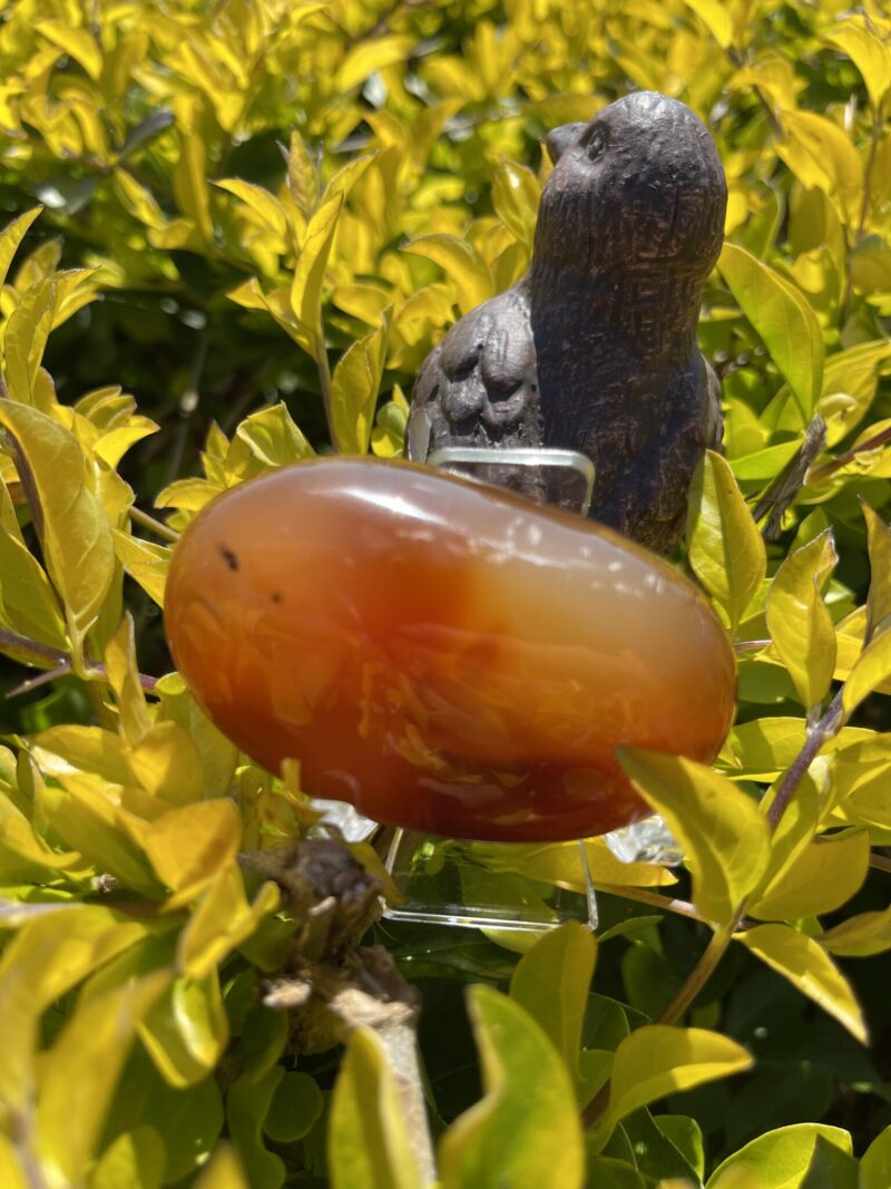 This is Grounding Carnelian Palm Stone