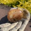 this is Inspiring Carnelian Palm Stone