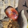 This is Carnelian Palm Stone for Motivation and Joy