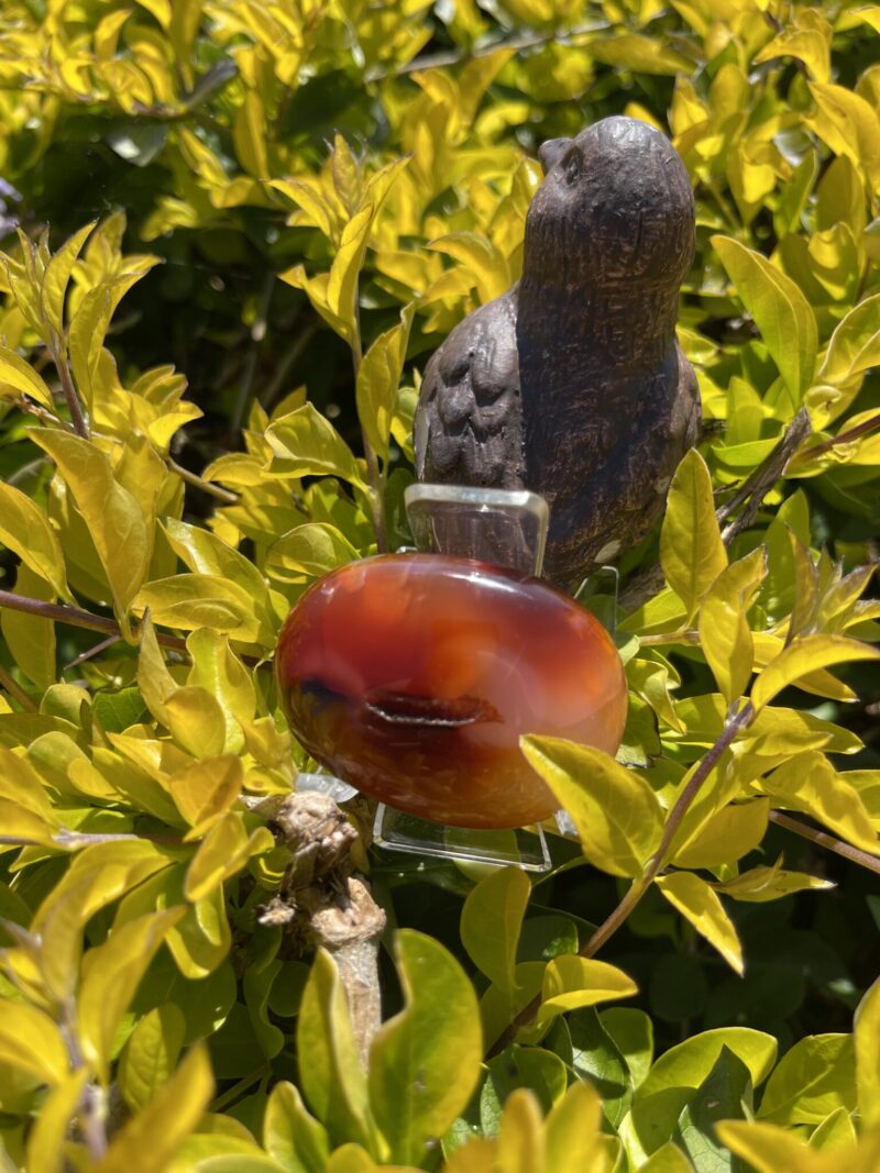 This is Carnelian Palm Stone for Motivation and Joy