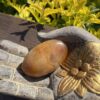 This is Carnelian Palm Stone for Balance and Focus