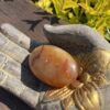 This is Carnelian Palm Stone for Balance and Focus