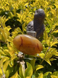 This is Carnelian Palm Stone for Balance and Focus