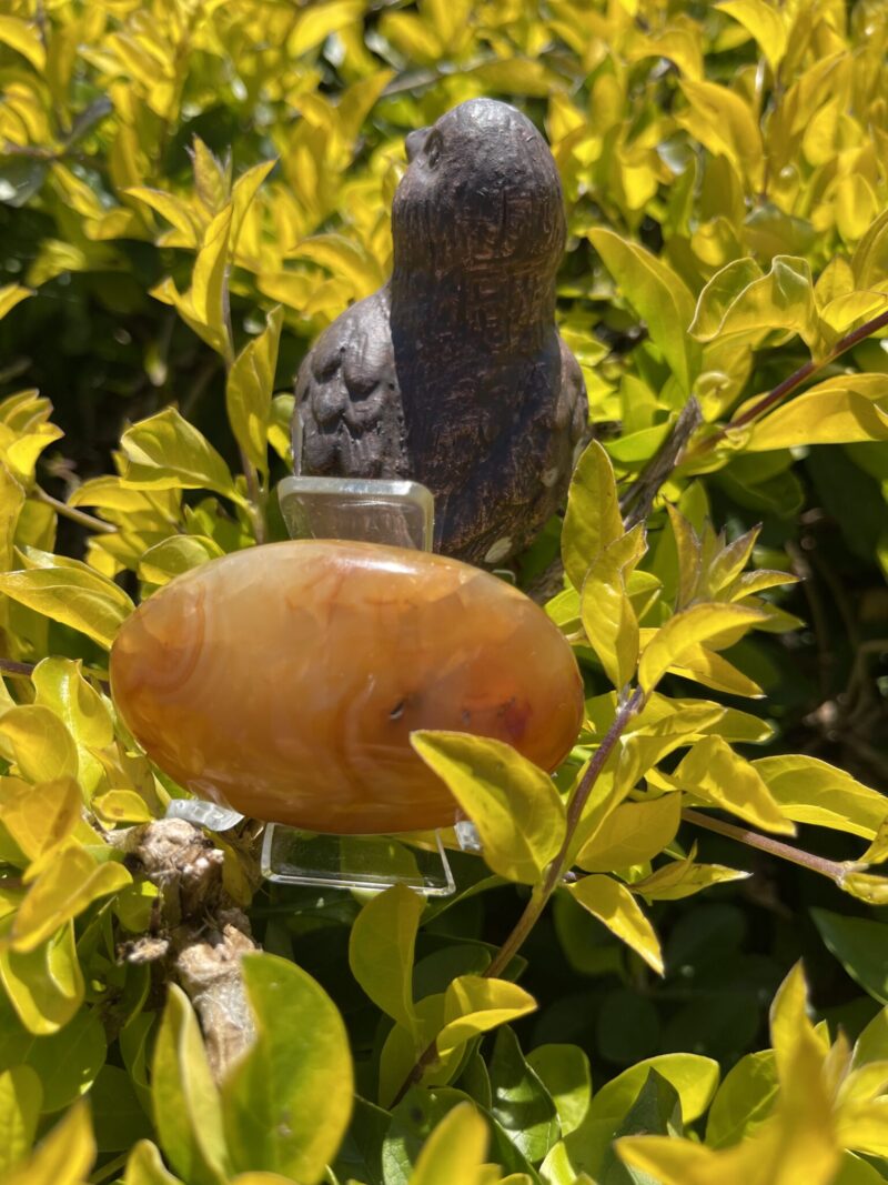 This is Carnelian Palm Stone for Balance and Focus