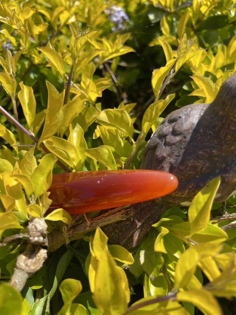 This is Carnelian Wand for Energy Flow and Manifestation