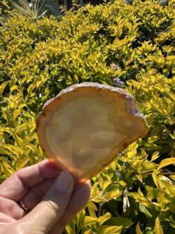 This is Carnelian Coasters for Elegance 5