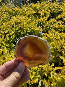 This is Loving Carnelian Coasters for Elegance 6