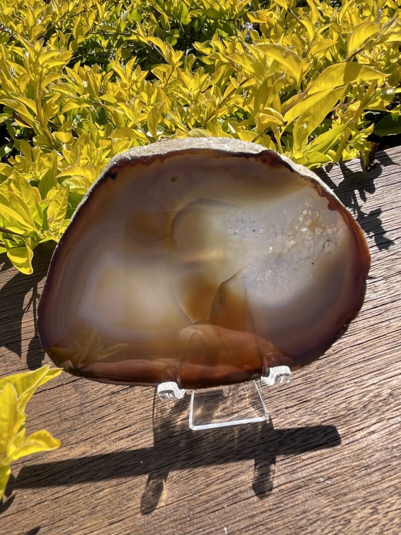 This is Beautiful Carnelian Coasters for Energy and Elegance