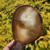 This is Beautiful Carnelian Coasters for Energy and Elegance