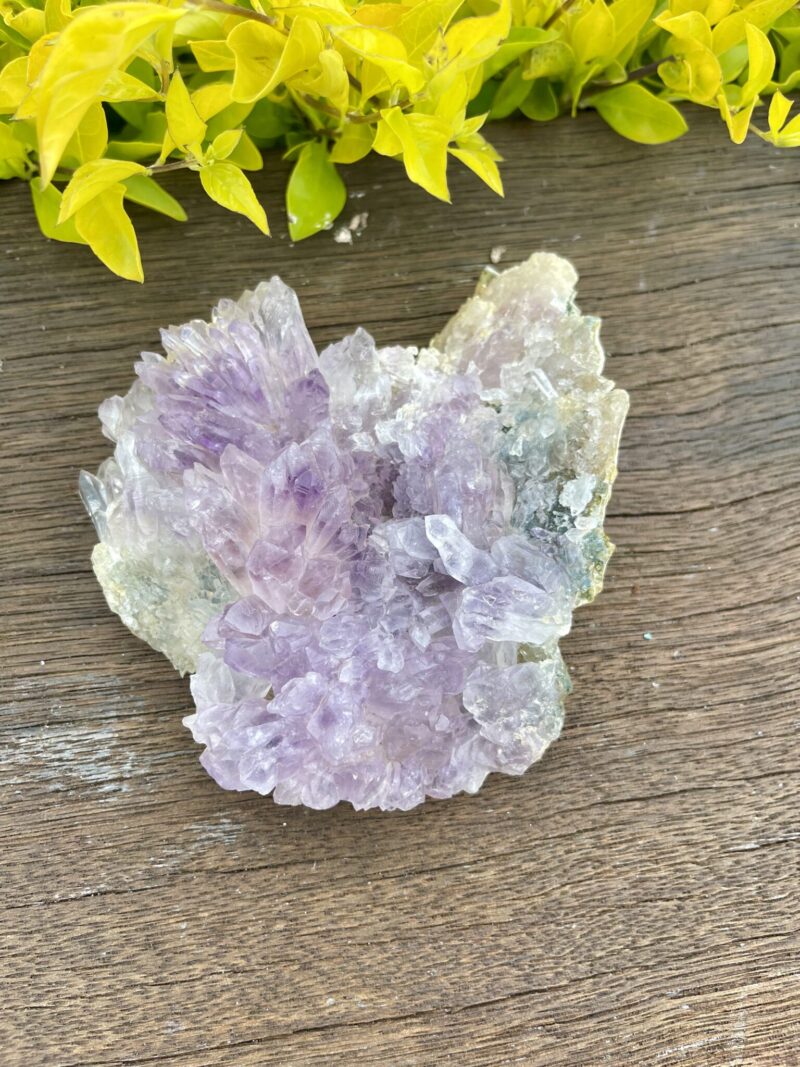 This is Gorgeous Rare Amethyst Flower Plate for Spiritual Growth and Serenity