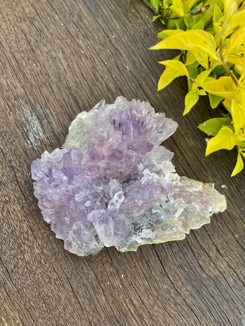 This is Gorgeous Rare Amethyst Flower Plate for Spiritual Growth and Serenity