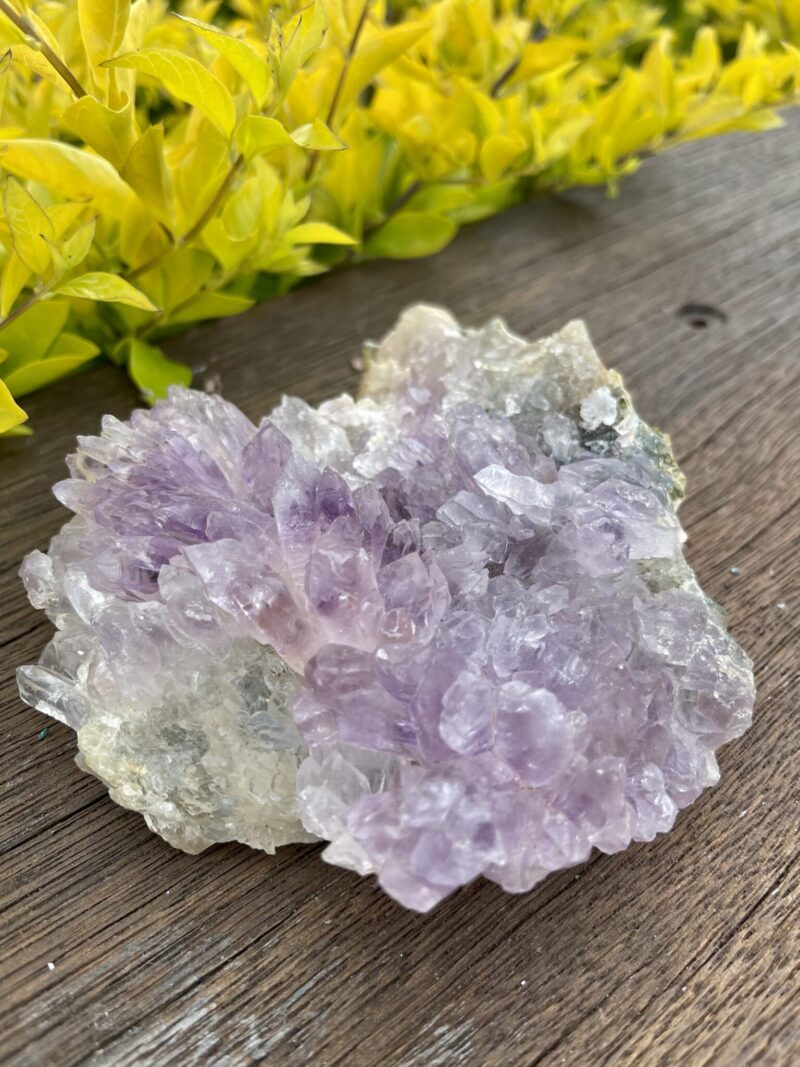 This is Gorgeous Rare Amethyst Flower Plate for Spiritual Growth and Serenity