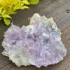 This is Gorgeous Rare Amethyst Flower Plate for Spiritual Growth and Serenity