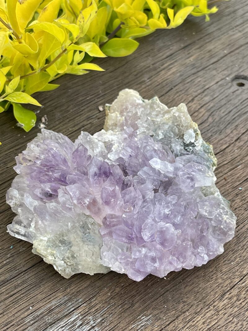 This is Gorgeous Rare Amethyst Flower Plate for Spiritual Growth and Serenity