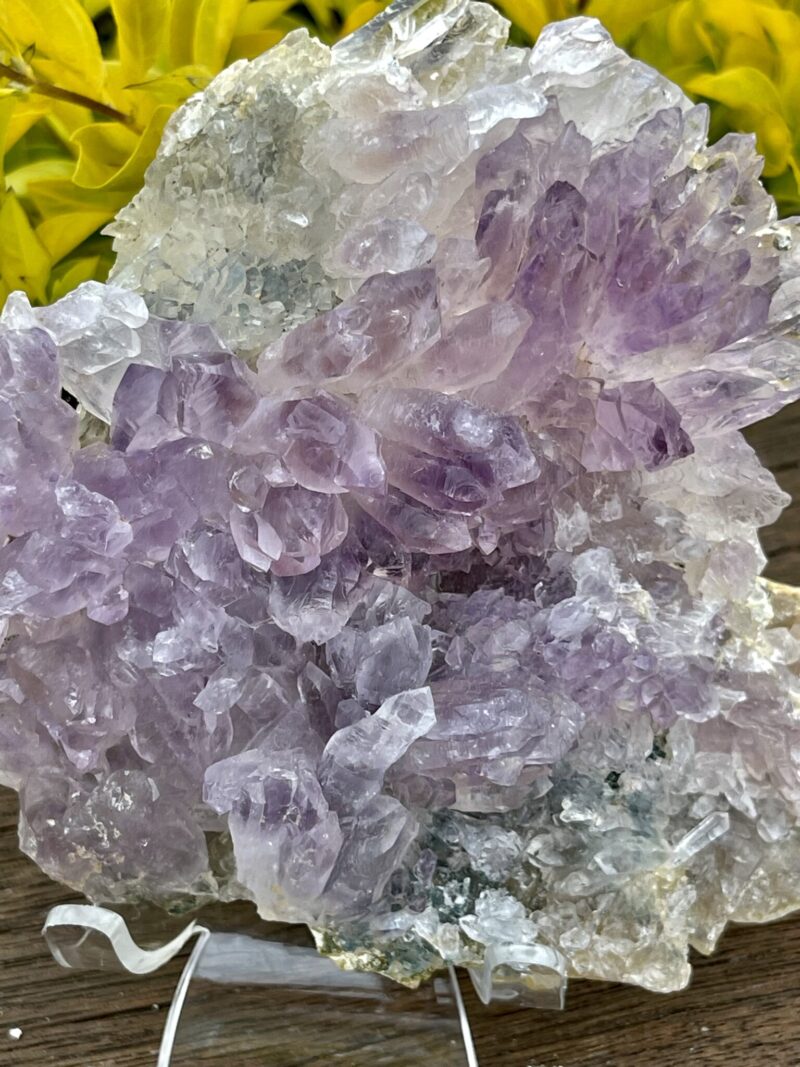 This is Gorgeous Rare Amethyst Flower Plate for Spiritual Growth and Serenity