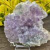 This is Gorgeous Rare Amethyst Flower Plate for Spiritual Growth and Serenity