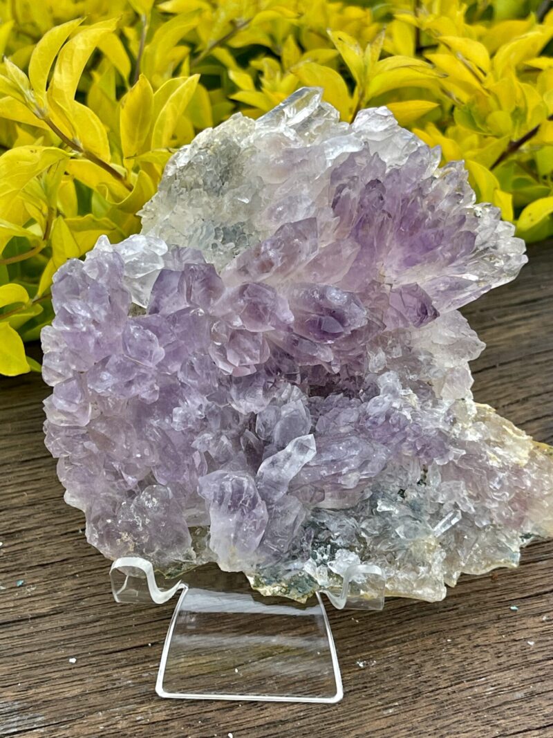 This is Gorgeous Rare Amethyst Flower Plate for Spiritual Growth and Serenity